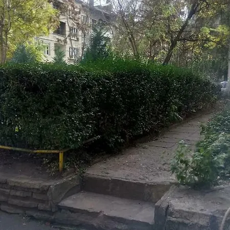 The House - V 2 * Sofia
